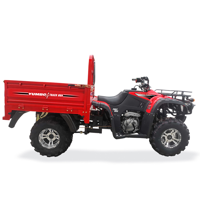 CUATRICICLO YUMBO 4TRACK 250 T BOX